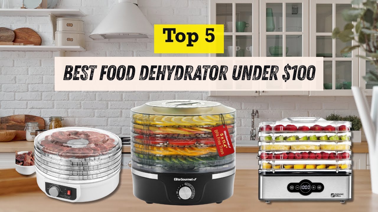 Best Food Dehydrator for Under $100, $50 (Fruit, Jerky & Snacks)