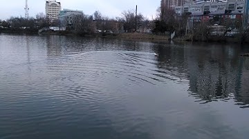 Wasabi Запуск 4.2 (экспериментируем с ЦТ - среднее положение)