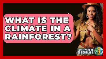 What Is The Climate In A Rainforest? - Ecosystem Essentials