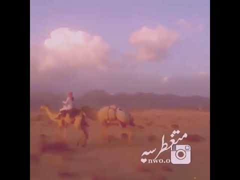 قال طول المشوار يانشدن عني ابو مطلق الشمري 