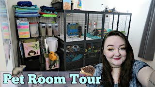 Pet Room Tour (April 2019)