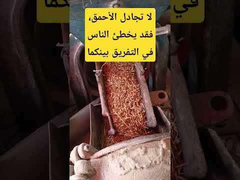 يقول المثل لا تجادل الأحمق فقد يخطئ الناس في التفريق بينكما