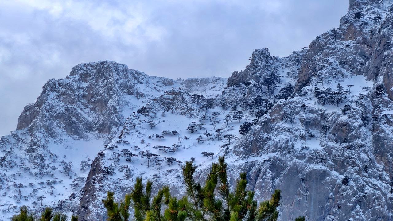 Юг Крыма ЗАМЕЛО снегом. Дорога на Ай-Петри сегодня. Зимняя сказка в горах!