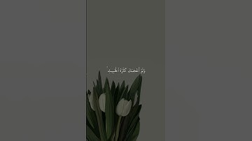 الأية 100 من سورة المائدة 🎧