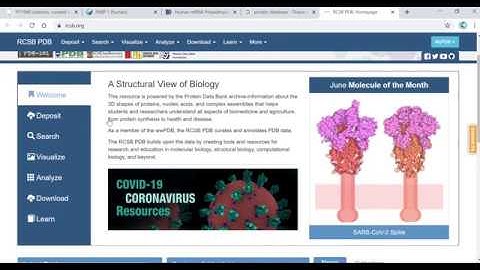 Introducing protein databases RCSB database