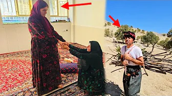 A Niece’s Effort for Reconciliation | Will the Mother Return to the Farm?  