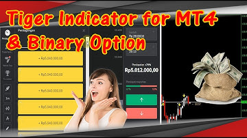 🔴 FREE DOWNLOAD INDICATOR FOREX TIGER TRADE FOR MT4 AND BINARY OPTION BEST SIGNAL ACCURATE