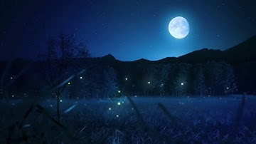 تلاوة عطرة للقارئ الشيخ_عبد المهيمن الضيف