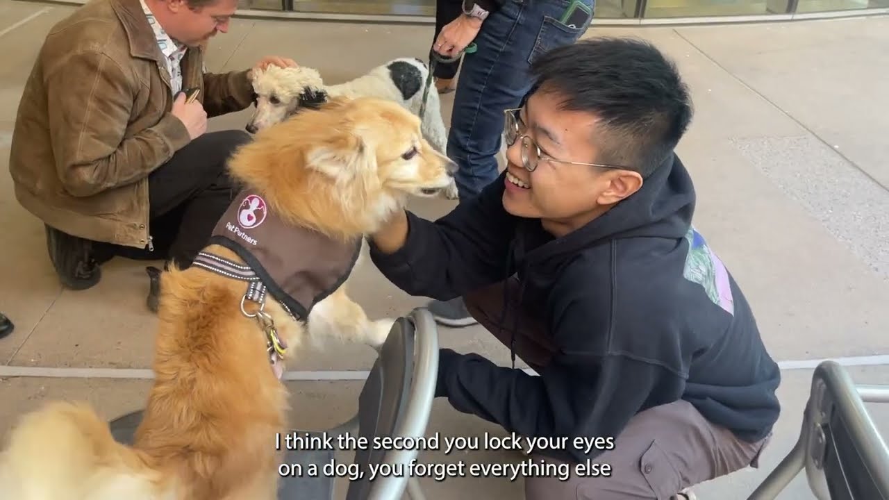 Sun Devil Paw Therapy