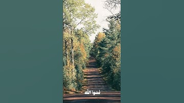 تلاوة رائعة من الشيخ #المنشاوي رحمه الله | ❤️ #اكسبلور #قرآن #fyp #explore #تلاوة_خاشعة #سورة_الحشر