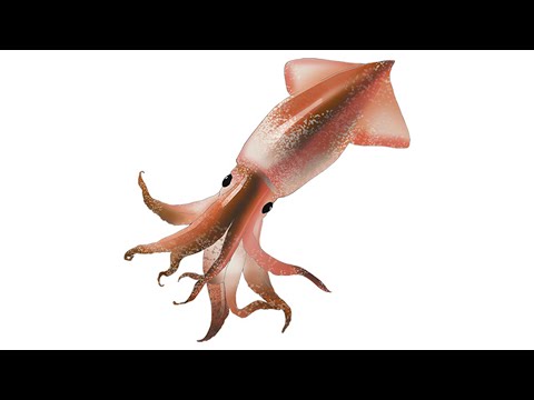 20初めてのスプラトゥーン