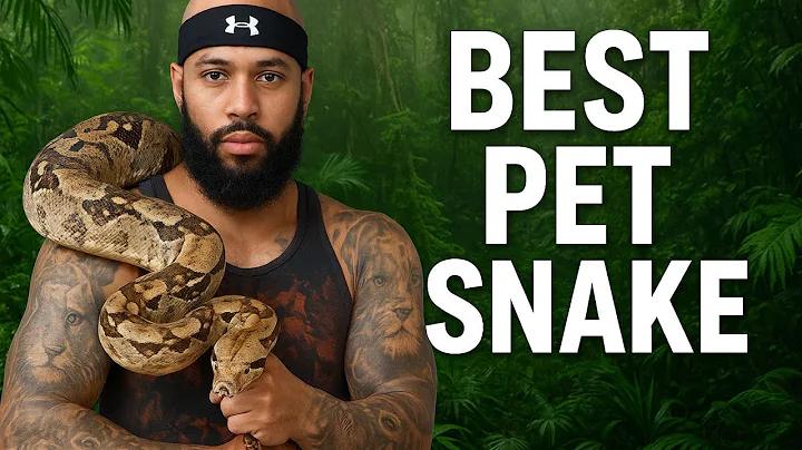 My 3 Snakes Compared: Colombian Boa, Central American Boa & Ball Python (Best Pet Snake?)