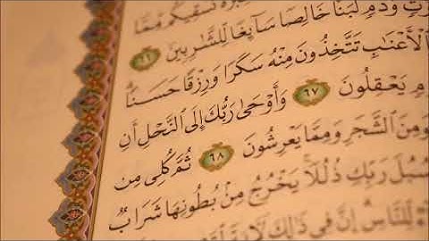 سورة النحل - تلاوة نادرة خاشعة قديمة - القاري أبو بكر الشاطري