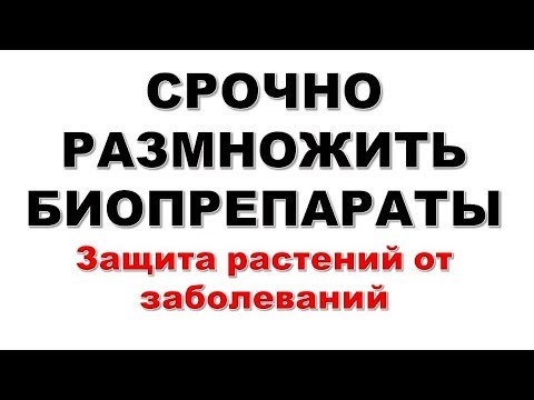 Срочно -срочно размножить биопрепараты Гаупсин и Трихофит и защитить растения от заболеваний.