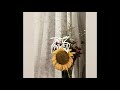 Sunflower  prod by tatz maven free