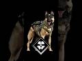 Riley Call of Duty Ghosts #callofduty#codghosts