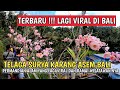 LAGI VIRAL DI BALI !!!! TELAGA SURYA KARANGASEM BALI