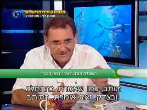 וִידֵאוֹ: מהו תותב קאמבר?