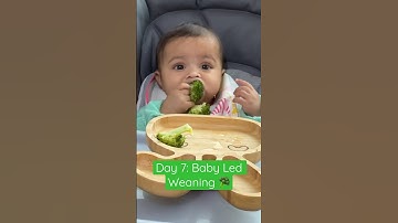 Day 7:Baby Led Weaning 🥦 #6monthsold #babyfirstfood #babyweaning #weaningtips #ytshorts #fingerfood