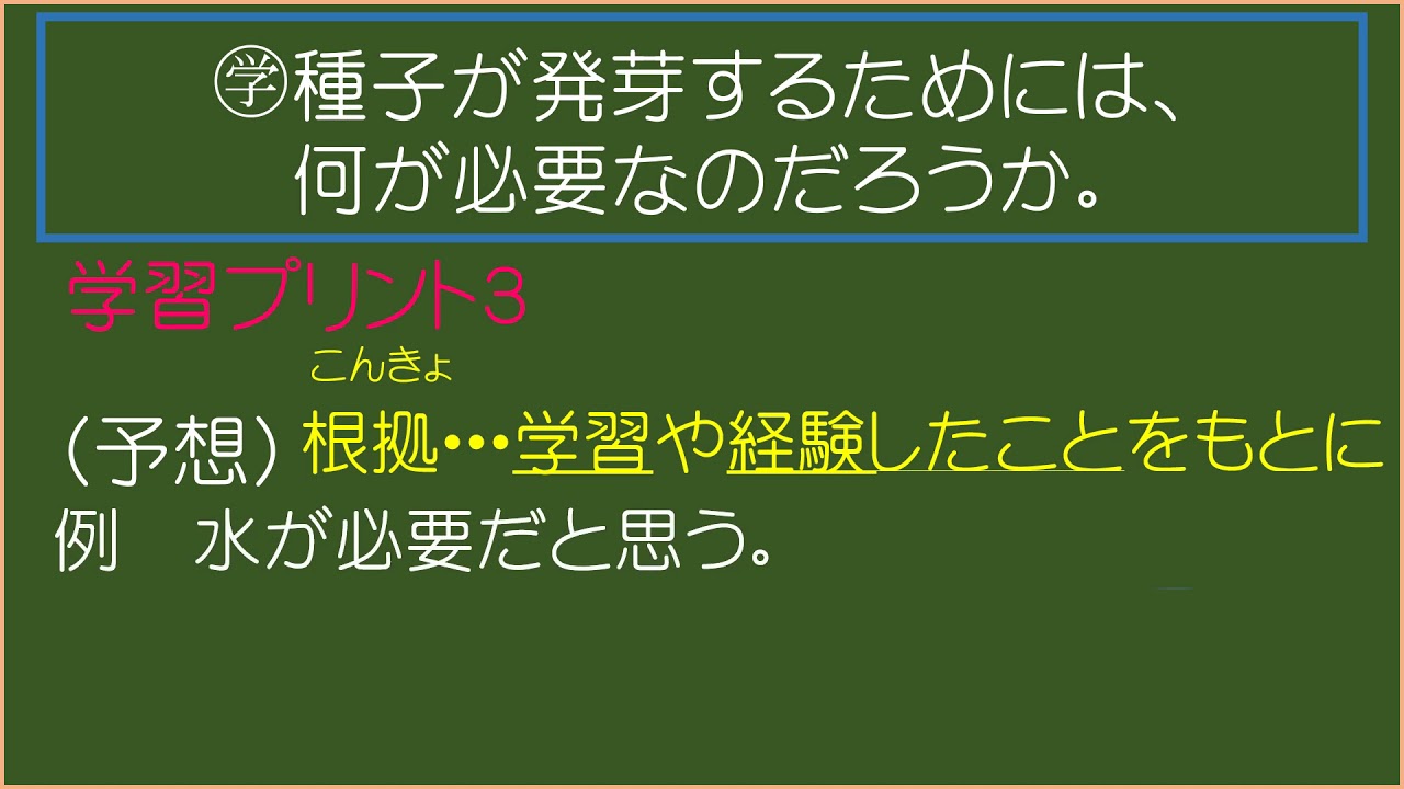 チーてれスタディーネット 小 理科 東書