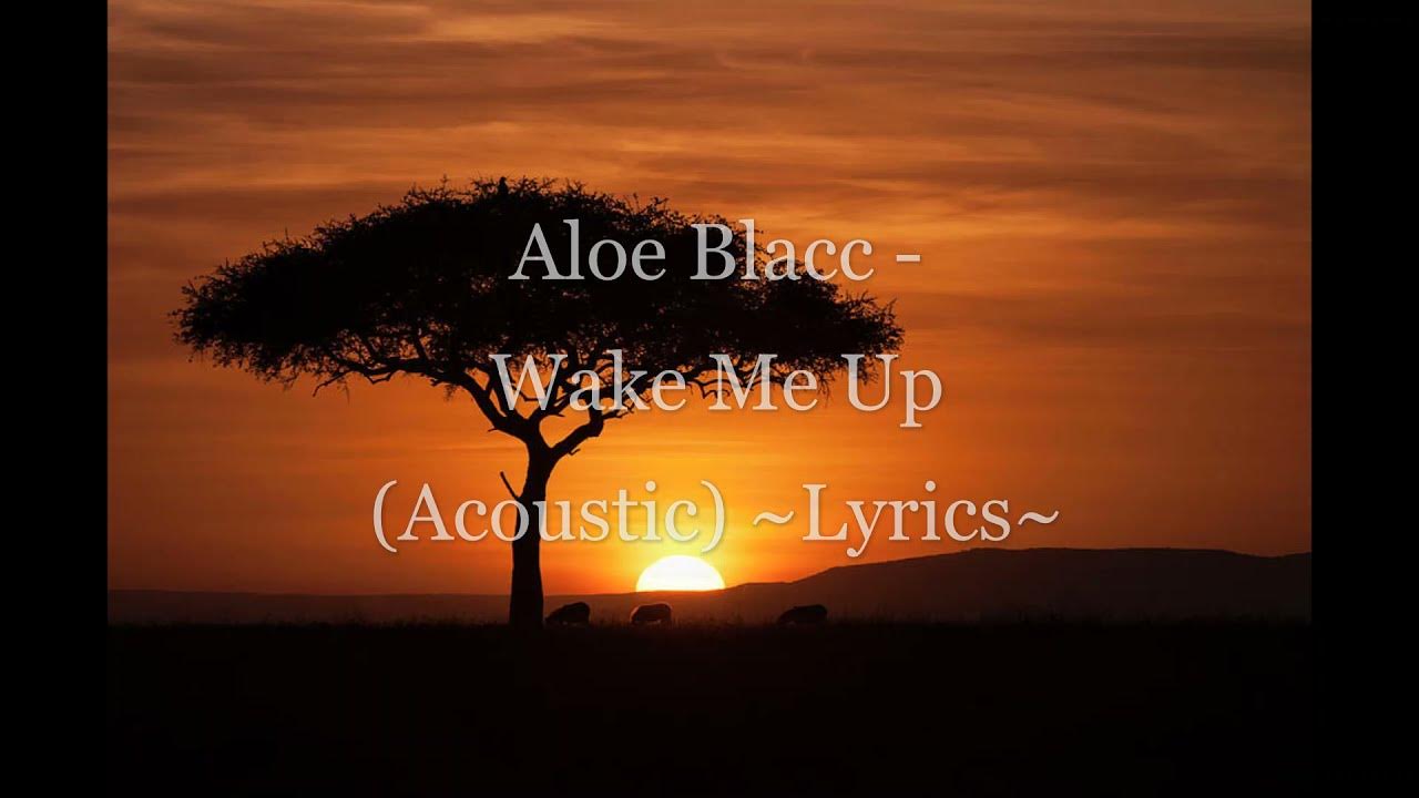 Aloe Blacc - Wake Me Up (Acoustic) ~Lyrics~ Aloe Blacc - Wake Me Up (Acoustic) ~Lyrics~