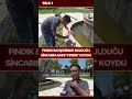 Bahçesinde bitkin halde bulduğu sincaba evinde özenle bakıyor
