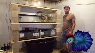 Please Visit http://mafishguy.com/ For Aquarium and fish information as well as information on breeding fish. Thank you for viewing 