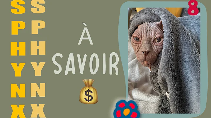 Video 4187031: adopt sphynx