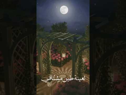 يناير حم ل أشواقي جديد أيقونة الشرق اكسبلور  اصالة 