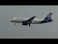 Aegean Airbus 320 SX-DVN Landing Malaga LEMG