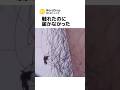 体毛を剃ってはいけない理由😂