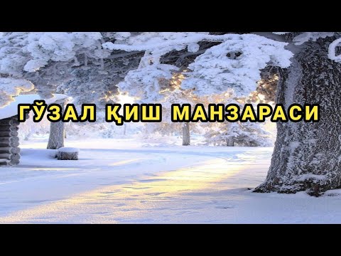 ГЎЗАЛ ҚИШ МАНЗАРАСИ | GO‘ZAL QISh MANZARASI