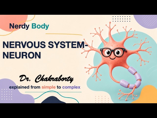 Neural Tissue - Lecture