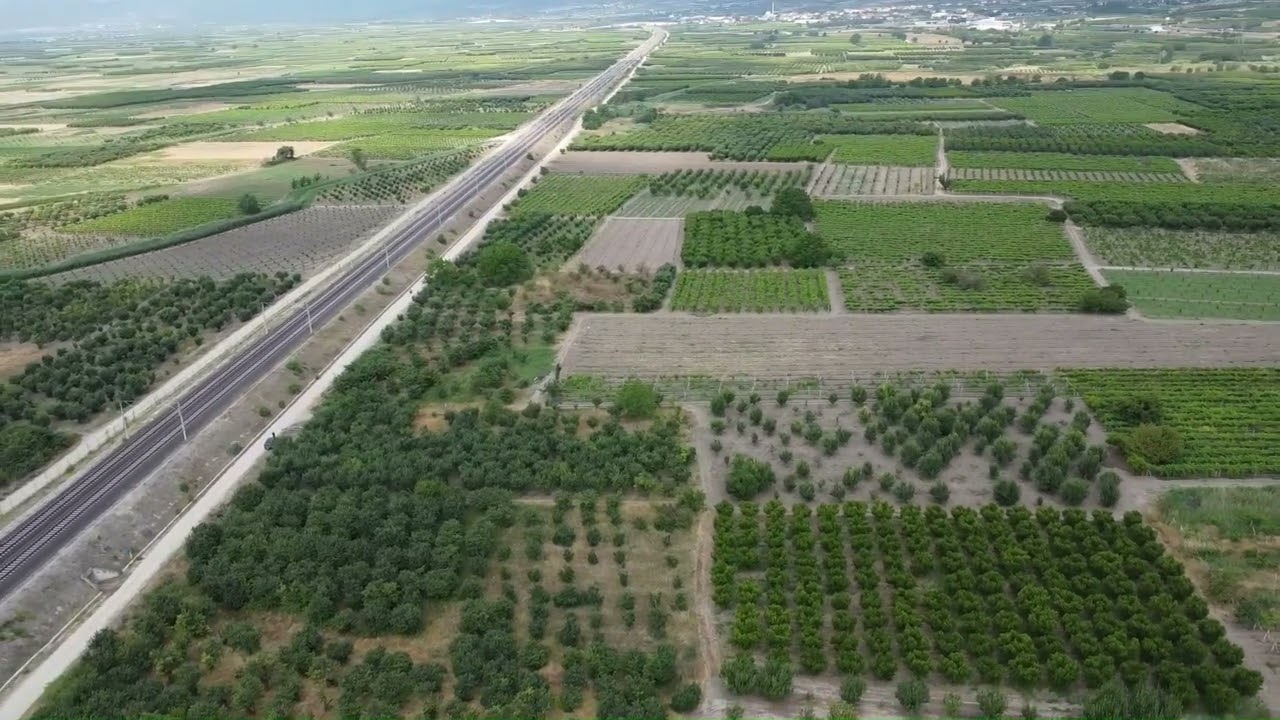 🍐 Pamukova’da Satılık Ayva Bahçesi  1110 m² Verimli Meyve Bahçesi