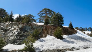 Troodos Mountains Cyprus