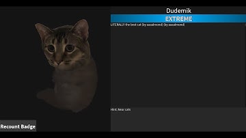 How to get Dudemik - Find The Chomiks