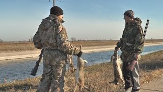 Охота на зайца ! Открытие охоты на пушного зверя и процесс сьемки клипа на авторскую песню! Охота на зайца ! Открытие охоты на пушного зверя и процесс сьемки клипа на авторскую песню!