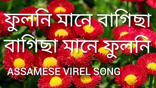 fuloni mane bagisa॥ফুলনি মানে বাগিছা॥new facebook virel assamese song