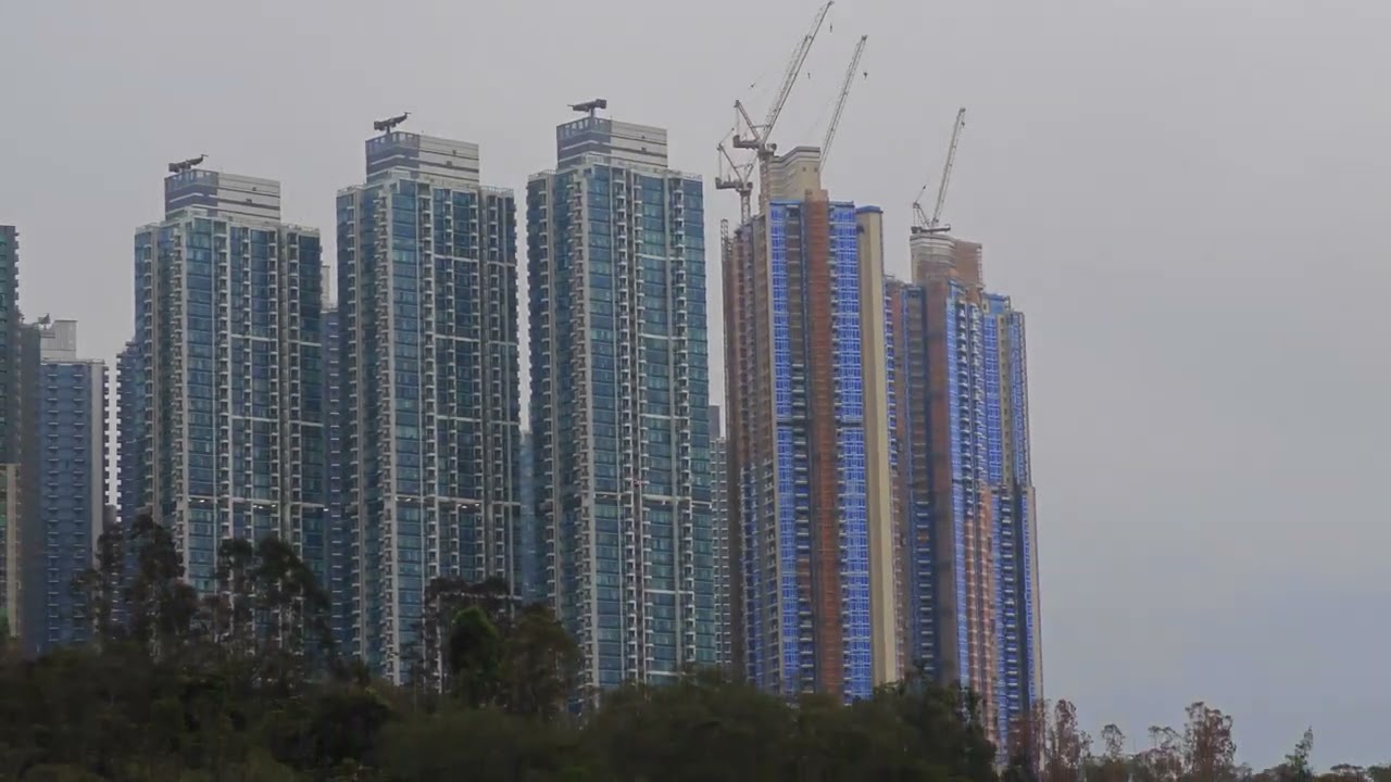 RED RARE BEAR 1st FLIGHT 02/2026