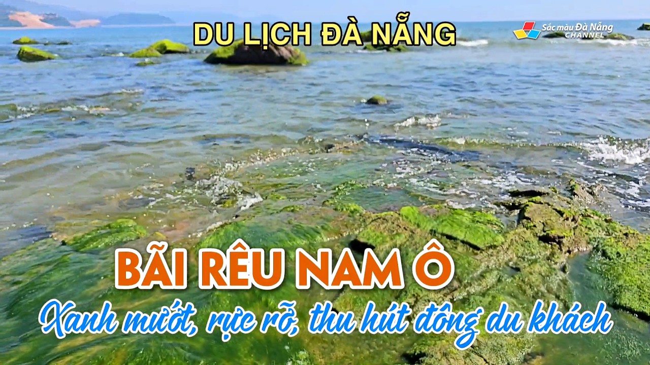 Du lịch Đà Nẵng: BÃI RÊU NAM Ô XANH MƯỚT, RỰC RỠ, THU HÚT ĐÔNG DU KHÁCH