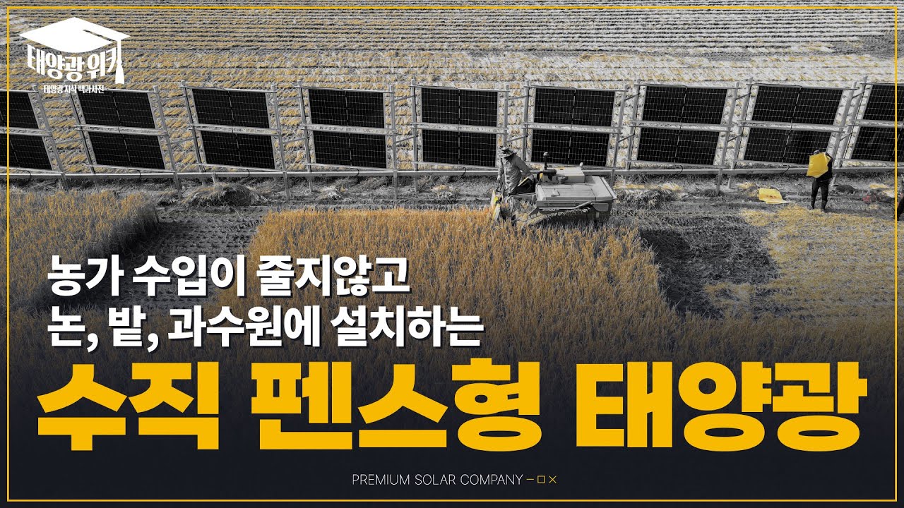☀️에너지 자립!!☀️ 농가 필수 시청✔️ 영농형 수직 펜스형 태양광에 대해서   | #에너지자립 #농촌 #재생에너지 #에스피 #태양광위키