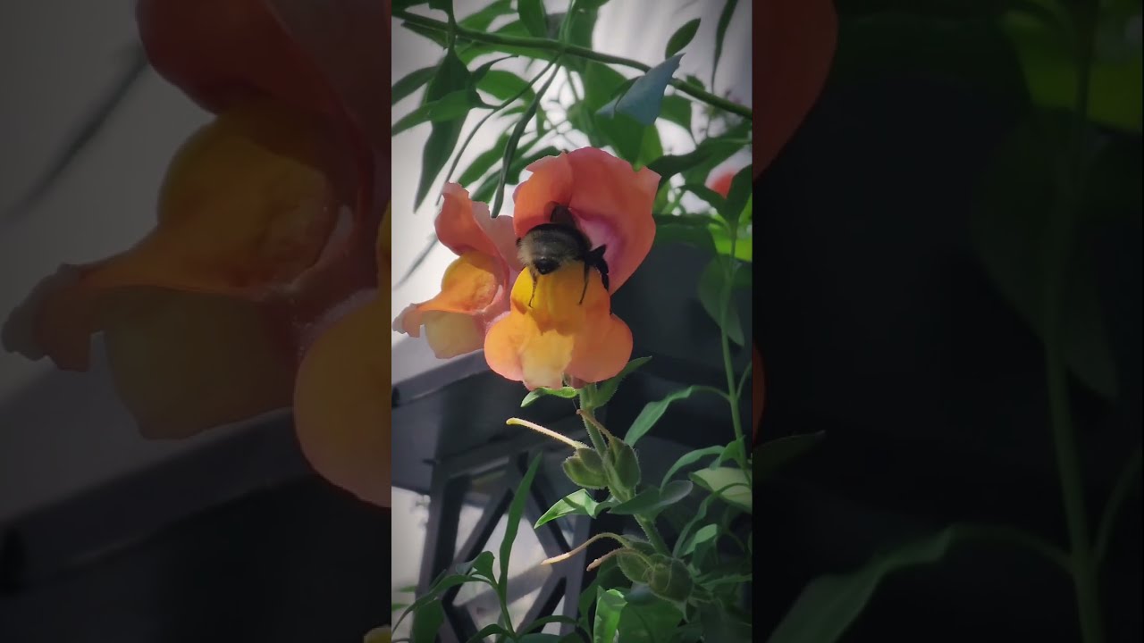 1 осознание,  поможет полюбить Осень