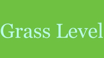 Grass Level (Original Song)
