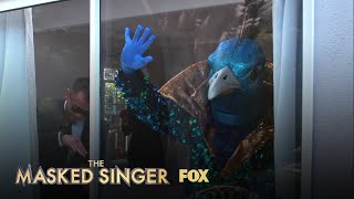 The Clues: Peacock | Season 1 Ep. 8 | THE MASKED SINGER