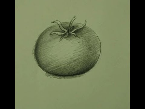 Tomatoes Drawing In Color Pencils  Vegetable Drawing  How To Draw Tomato   video Dailymotion