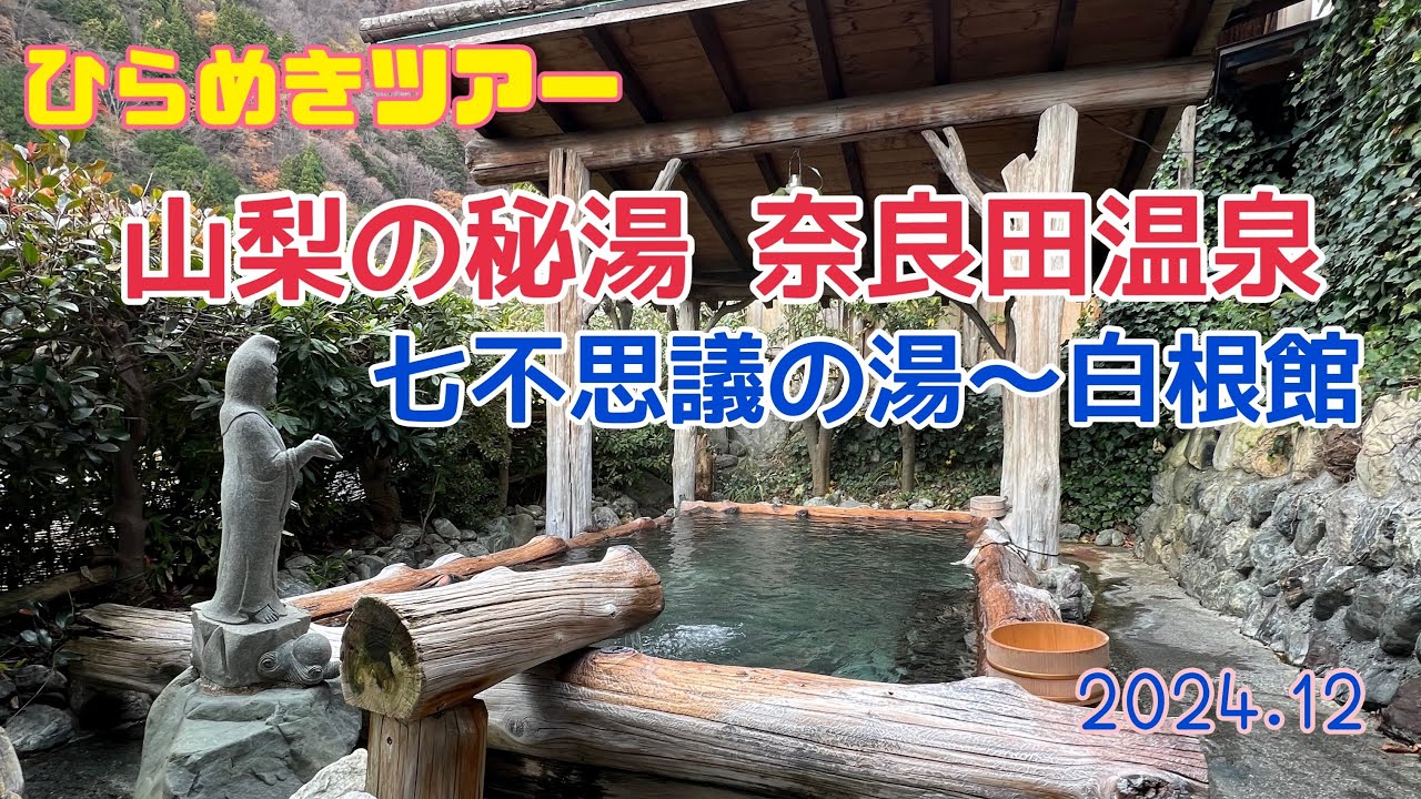 【ひらめきツアー山梨】奈良田温泉　七不思議の湯～白根館