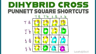 Dihybrid Cross Punnett Squares + MCAT Shortcut (Mendelian Genetics Part 2)