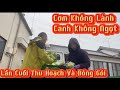 KamiyaHang Jp || GỐC KHUẤT HÔN NHÂN VỚI CHỒNG NHẬT - VẪN PHỤ GIÚP CHỒNG LÀM NÔNG #cuocsongonhat