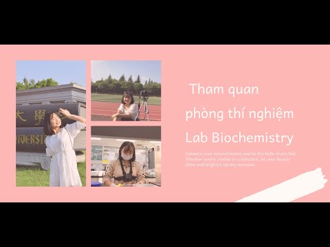 Video: Cuộc Thi 