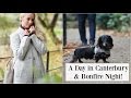 A Day in Canterbury & Creating a Pet Zen Den for Dexter on Bonfire Night!   |   Fashion Mumblr AD